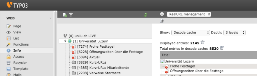 realurl-cached-path-node1-1.png