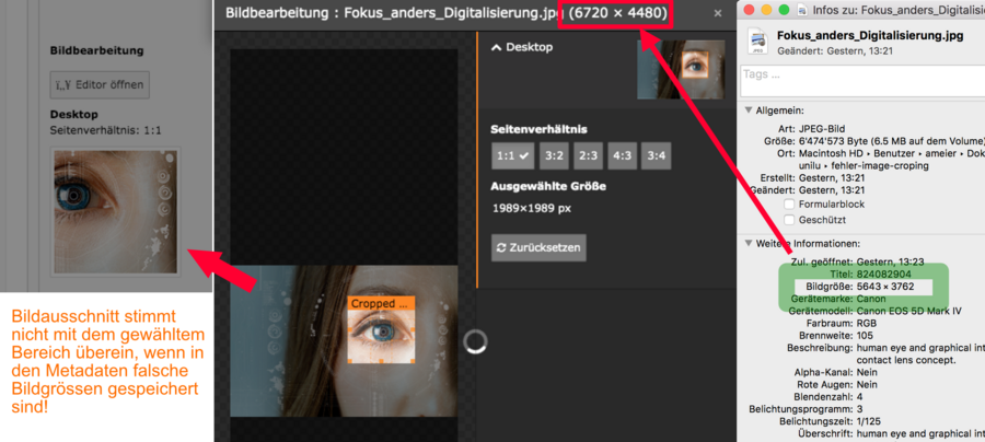 fehler-cropping-compact.png
